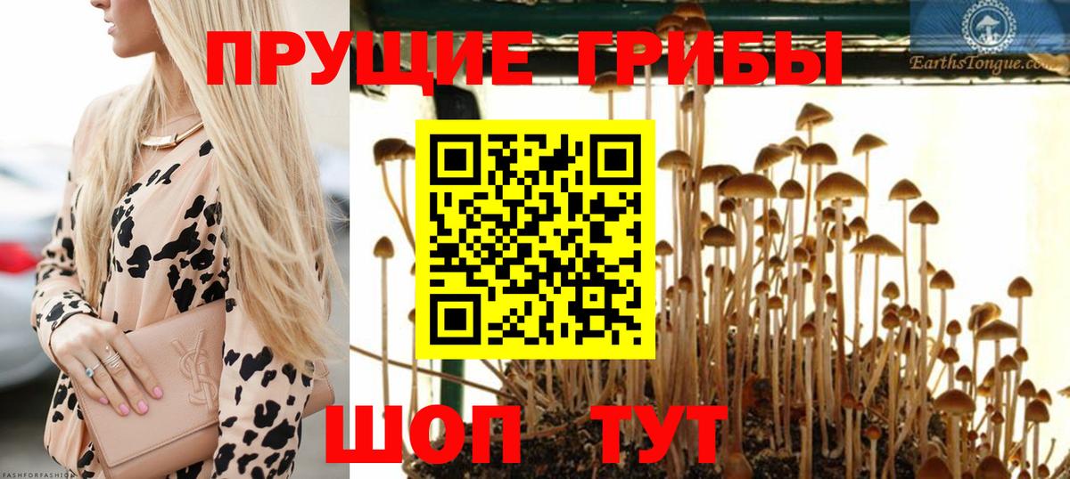 Псилоцибиновые грибы мухоморы Мытищи