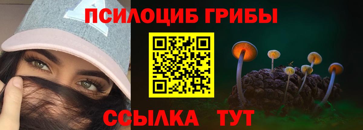 Псилоцибиновые грибы Magic Shrooms  Вход с VPN  купить наркотик  Псилоцибиновые грибы MAGIC MUSHROOMS  Мытищи 
